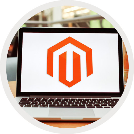 Hire Magento Developers