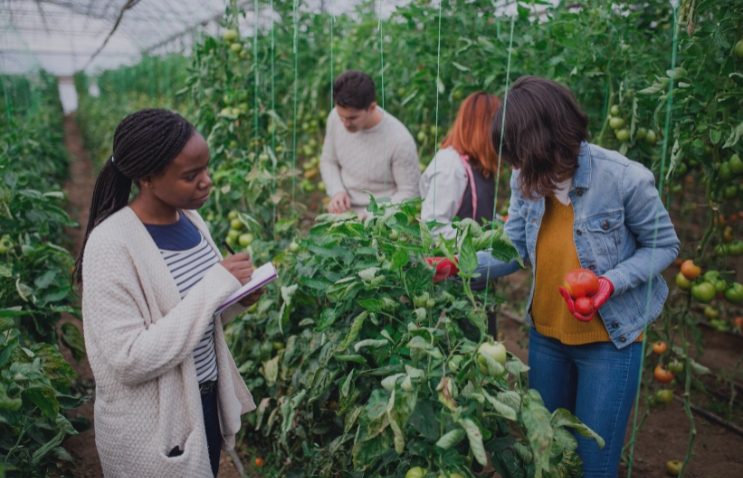 Agriculture & Farming Website Design Company